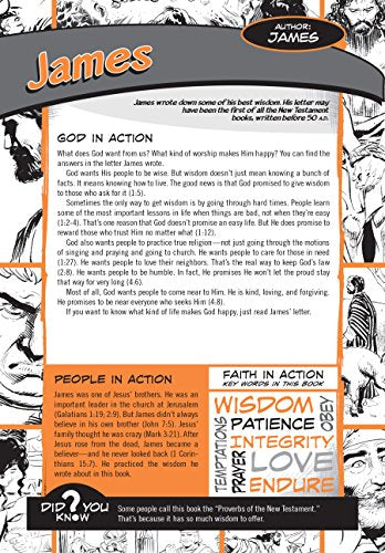 The NIV Action Study Bible (Action Bible Series)