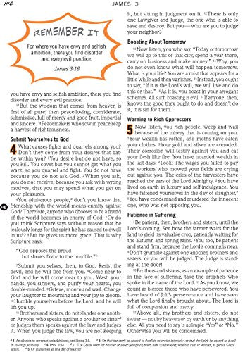 The NIV Action Study Bible (Action Bible Series)