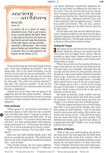 The NIV Action Study Bible (Action Bible Series)